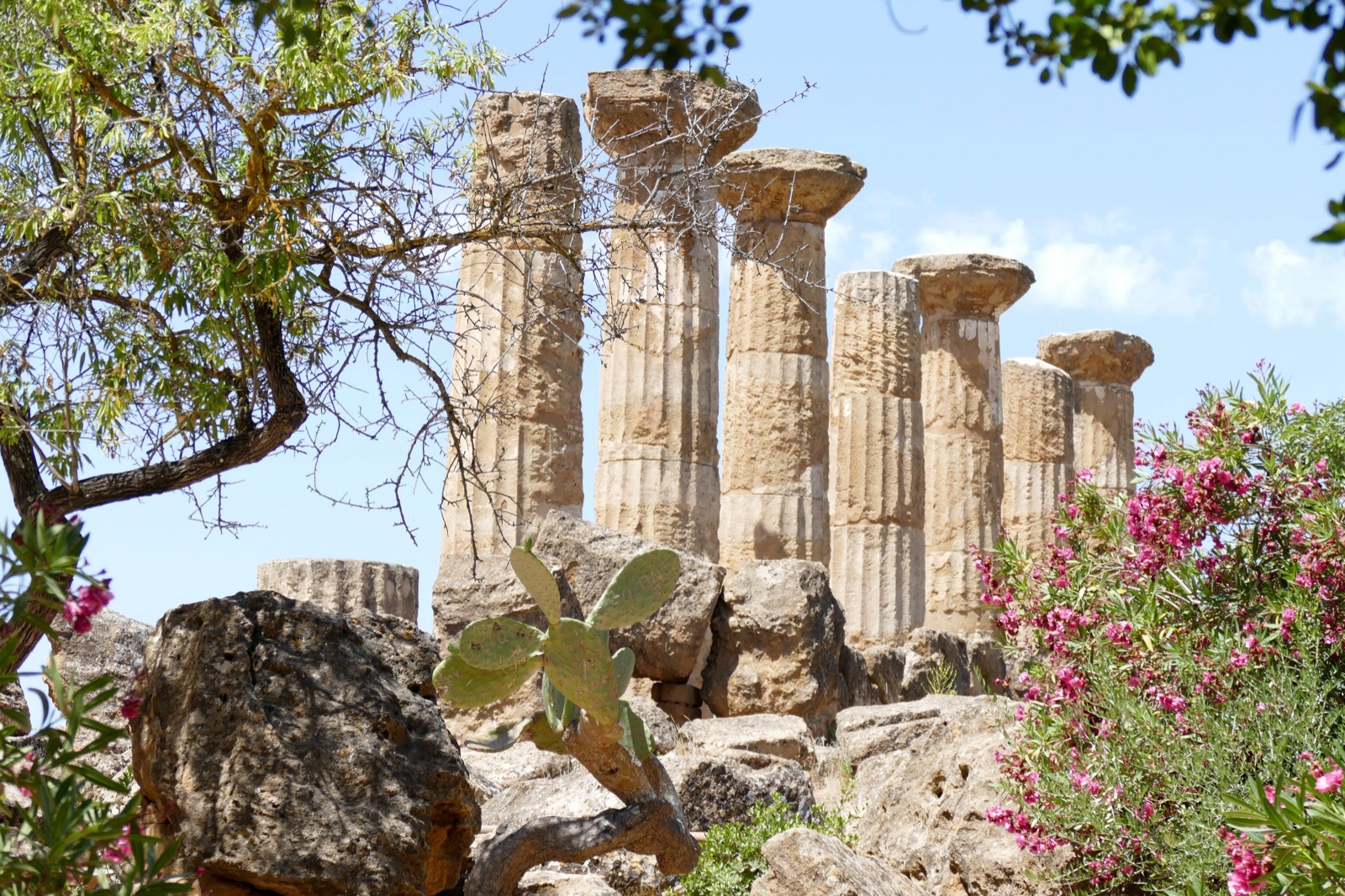 Zuilen van een antieke Griekse tempel omringd door mediterrane planten, beeld bij de geschiedenis van Hippocrates en de vier temperamenten