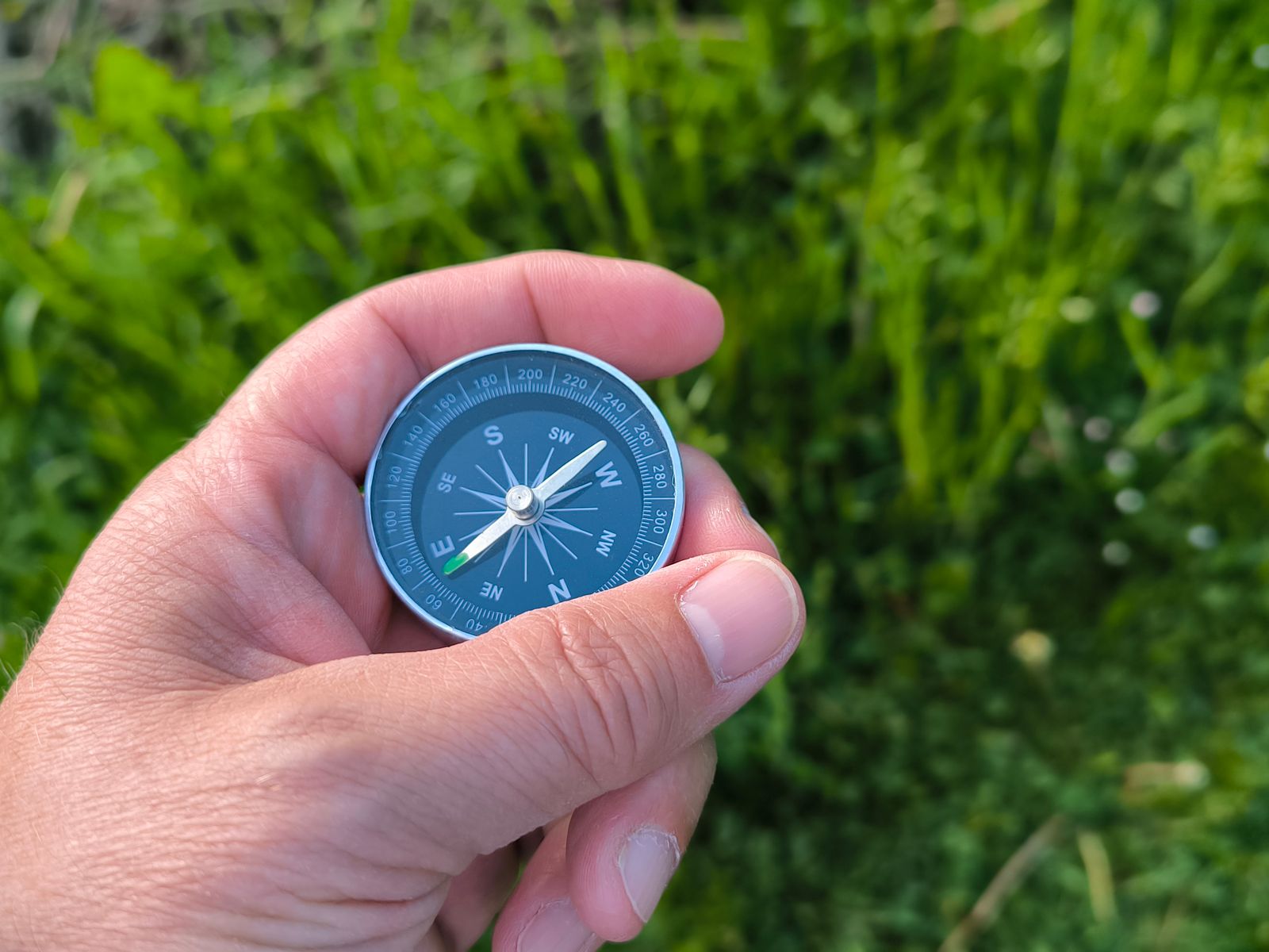 Hand met kompas in een groen landschap, als beeld voor de acht posities op het DISC-wiel