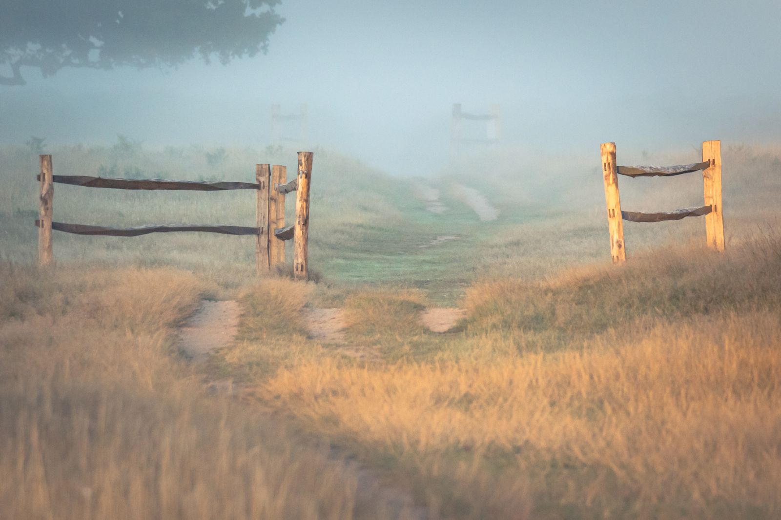 Mistig landweggetje tussen houten hekken, als beeld voor de rolonzekerheid bij een samengedrukt DISC-profiel