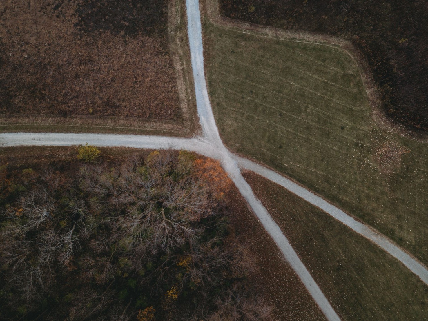 Luchtfoto van een kruispunt van wandelpaden tussen velden en bomen, als beeld voor een loopbaankeuze tussen DISC en RIASEC